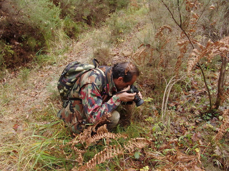 Escursione  in terra di Siena